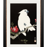 Cockatoos by Ohara Koson – York Slim Framed Print