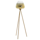 Light & Living Mayson Floor Lamp in Gold and Gold and Clear Glass