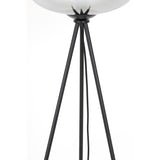 Light & Living Mayson Floor Lamp in Matt Black and Smoked Grey Glass