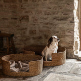 Garden Trading Brading Pet Beds – Set of 2