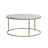 Light & Living Axat Coffee Table with White Agate and Antique Bronze