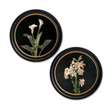 Lilies by George Cochran Lambdin – Oxford Round Framed Print