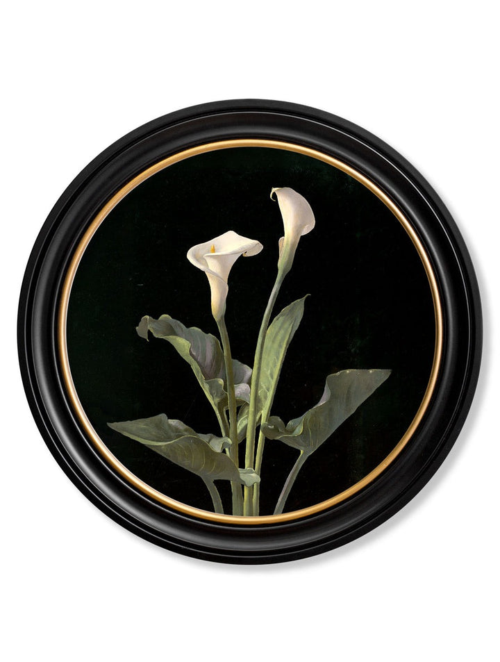 Lilies by George Cochran Lambdin – Oxford Round Framed Print