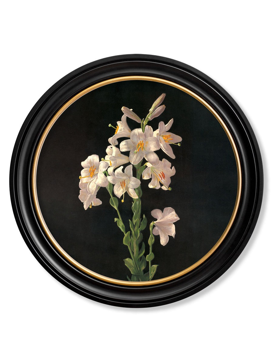 Lilies by George Cochran Lambdin – Oxford Round Framed Print