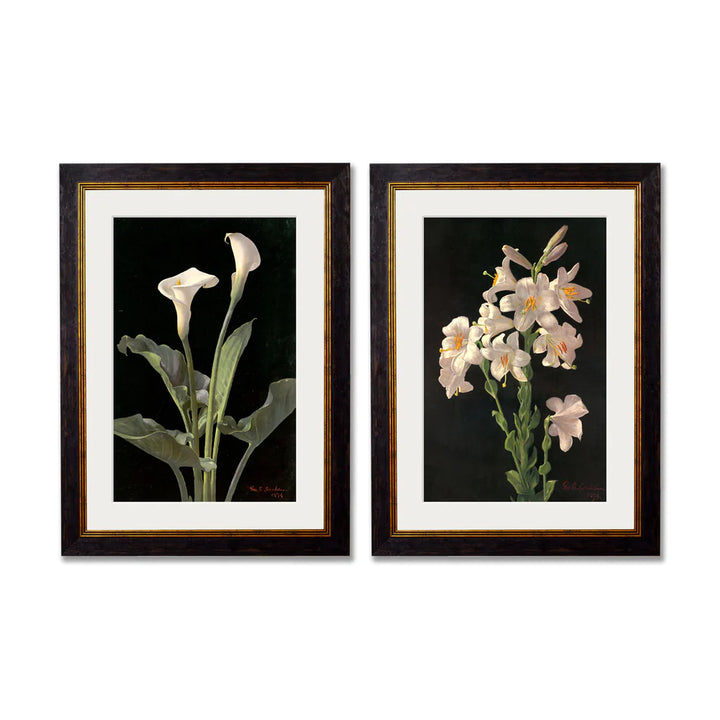 Lilies by George Cochran Lambdin – Oxford Slim Framed Print