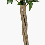 Pacific Lifestyle Faux Bay Tree in Pot – Medium