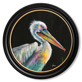 Pelican Print 'Pierre' by Amy Ansell - Oxford Round Frame