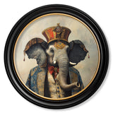 The Great Elephanto - Oxford round frame