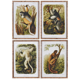 Wild Lemur Wall Art – Set of 4