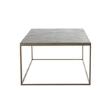 Light & Living Chisa Coffee Table in Black and Antique Bronze