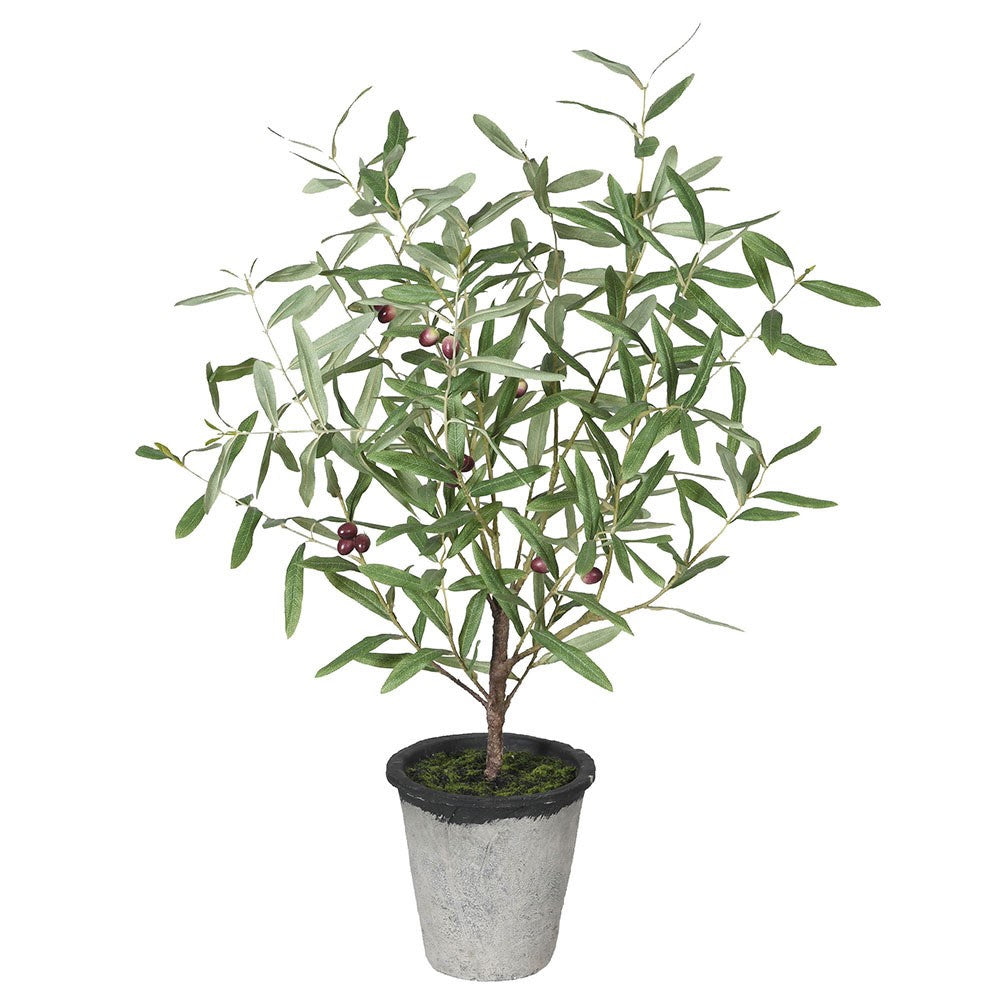 Artificial Olive Tree in Clay Pot