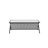 Light & Living Ezra Coffee Table in Clear Glass and Matt Black