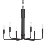 Hudson Valley Lighting Brigitte Pendant Light in Black Steel