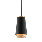Hudson Valley Lighting Fahrenheit Pendant Light with Hand-Worked Iron