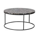 Light & Living Axat Coffee Table with Black Agate