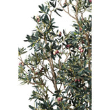 Noix Olive Plant Ornament with Black Pot in Huge Size