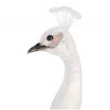 Pagoni White Peacock Bird Ornament