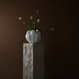 101 Copenhagen Podium Maxi – Limestone