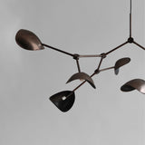 101 Copenhagen Stingray Chandelier – Grande – Bronze