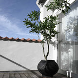 101 Copenhagen Sunao Fat Plant Pot – Black – Hexa