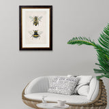 British Bees – Oxford Slim Framed Print