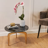RV Astley Meuse Side Table