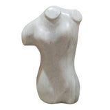 RV Astley Angelis W18 Torso