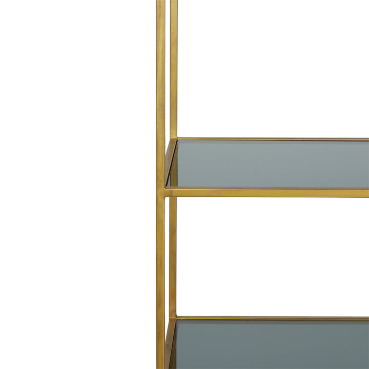 Light & Living Mariki Standing Shelving Unit in Gold and Smoked Glass