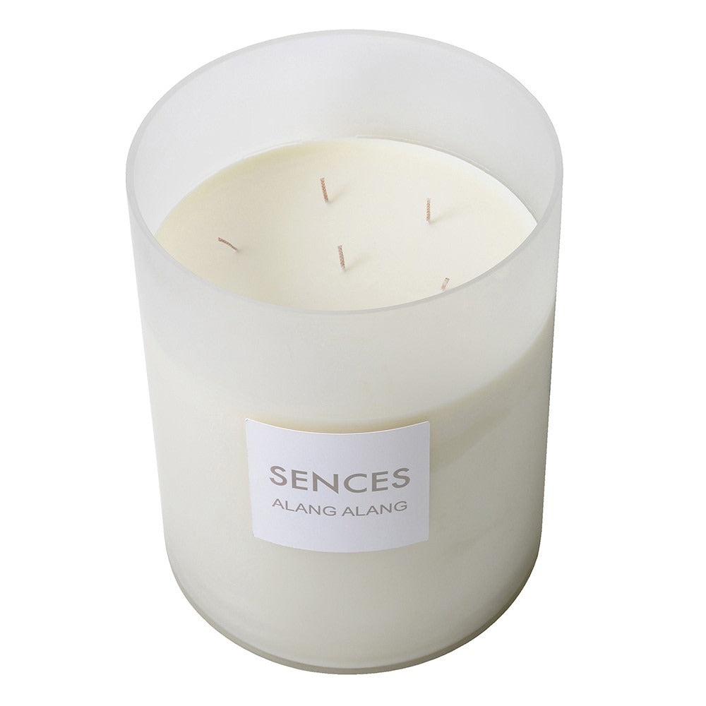 Amora Multi-Wick Candle with Frosted Glass Holder