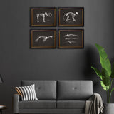 Anatomical Animal Skeletons with Black Background – Oxford Slim Framed Print