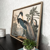 Ardea Vintage Hero Picture with Two Tone Wood Frame