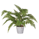 Artificial Fern – Excess Stock
