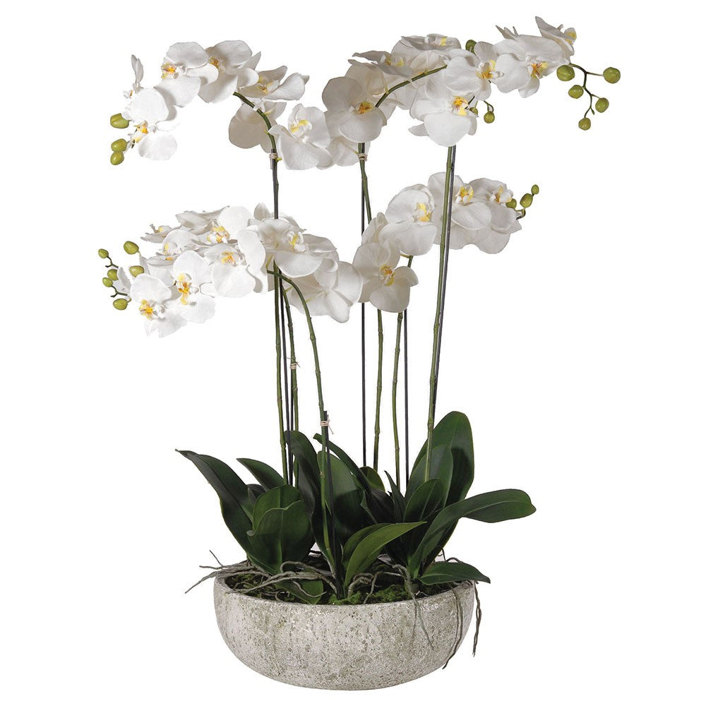 Artificial Orchid in Stone Effect Bowl