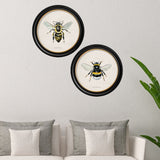 British Bees with White Background – Oxford Round Framed Print