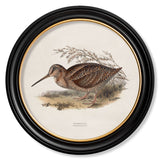 British Game Birds – Oxford Round Framed Print