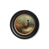Countryside Pheasant - Oxford Round Frame