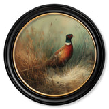 Countryside Pheasant - Oxford Round Frame