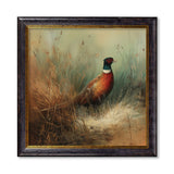 Countryside Pheasant - Oxford Square Frame