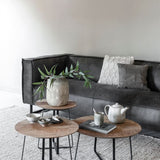 DTP Home Neptunes Coffee Table - Natural - Large