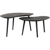 DTP Home Organus Coffee Table – Set of 2 – Black