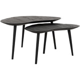 DTP Home Organus Coffee Table – Set of 2 – Black