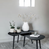 DTP Home Organus Coffee Table – Set of 2 – Black