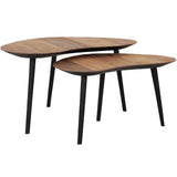 DTP Home Organus Coffee Table – Set of 2 – Natural