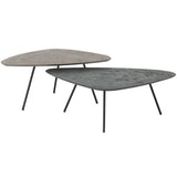 DTP Home Scala Plectro Earth Coffee Table - Set of 2