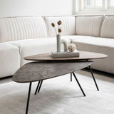 DTP Home Scala Plectro Earth Coffee Table - Set of 2
