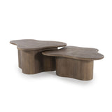Elowen Coffee Table – Set of 2 – Brown