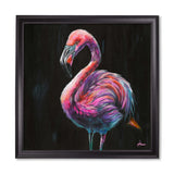 Flamingo Print 'Florrie' by Amy Ansell - Black Square Frame