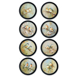 Garden Birds Print – Black Round Box Frame – Set of 8