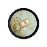 Garden Birds Print – Black Round Box Frame – Set of 8