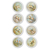 Garden Birds Print – White Round Box Frame – Set of 8